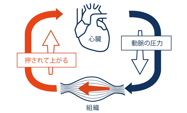 健診診断後の保健指導