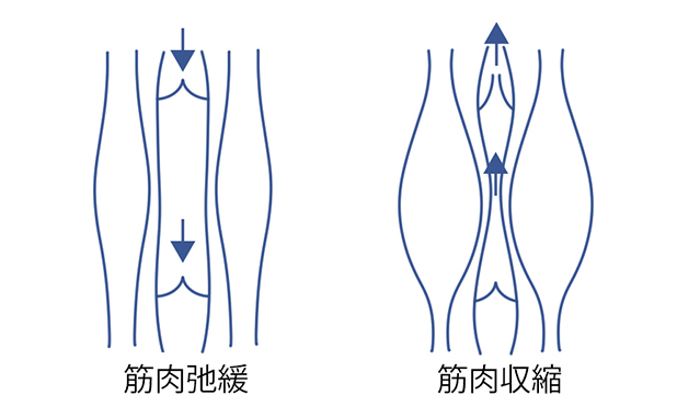 健診診断後の保健指導